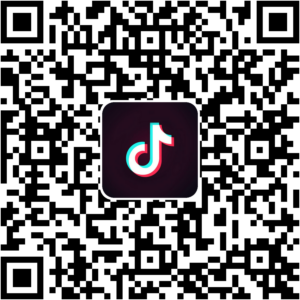 抖音小程序